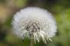 356858 – Photo : Pierre Duhem – France (75)