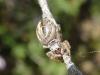 356888 – Photo : Karin13 – France (13)