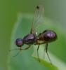356276 – Photo : ANDRE LABETAA – France (66)