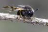 356628 – Photo : Thomas Reverchon – France (21)