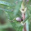 356713 – Photo : Mathurin CARNET – France (58)