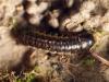 356786 – Photo : Cédric Mondy – France (94)