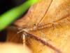 356728 – Photo : Cédric Mondy – France (94)