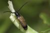 356582 – Photo : Thomas Reverchon – France (21)