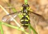 356826 – Photo : MOLINIER Cédric – France (66)