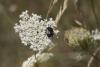 356236 – Photo : Damien Top – France (26)