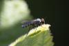 357984 – Photo : Pierre Duhem – France (17)