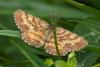 357496 – Photo : Jean-Claude Lablanquie – France (63)