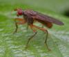 357102 – Photo : ANDRE LABETAA – France (31)