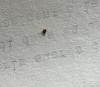 357146 – Photo : Anonyme – Suisse