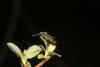 357932 – Photo : Simon Thevenin – France (82)
