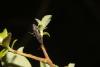 357933 – Photo : Simon Thevenin – France (82)