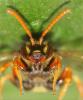 357731 – Photo : Daniel INGREMEAU – France (36)