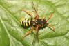 357727 – Photo : Daniel INGREMEAU – France (36)