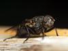 357701 – Photo : Cédric Mondy – France (94)