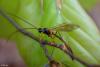 357495 – Photo : patrick derennes – France (94)