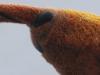 357010 – Photo : Bernard LAVIRON – France (31)