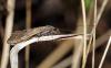 357462 – Photo : Vincent Derreumaux – France (07)