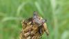 358446 – Photo : florent besson – France (18)