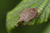 358388 – Photo : Pierre Duhem – France (17)