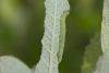 358673 – Photo : Pierre Duhem – France (95)
