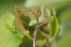 358701 – Photo : Pierre Duhem – France (95)