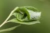 358811 – Photo : Pierre Duhem – France (95)