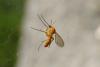 358957 – Photo : Guillaume Huot-Marchand – France (88)