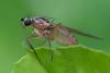 358400 – Photo : ANDRE LABETAA – France (66)