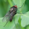 358411 – Photo : ANDRE LABETAA – France (66)
