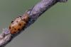 358577 – Photo : Thomas Reverchon – France (21)