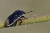 358984 – Photo : Thomas Reverchon – France (71)