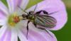 358876 – Photo : Christian Berquer – France (50)