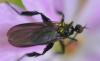 358901 – Photo : Christian Berquer – France (50)