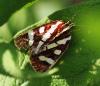 358012 – Photo : jpjepilou – Bénin