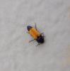 359697 – Photo : Mathurin CARNET – France (58)
