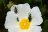 359311 – Photo : Ugoline GODEAU – France (84)