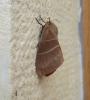 359811 – Photo : Mathurin CARNET – France (58)