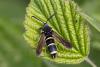 359351 – Photo : Pierre Duhem – France (95)