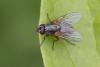 359444 – Photo : Pierre Duhem – France (95)