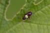 359446 – Photo : Pierre Duhem – France (95)