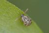 359760 – Photo : Pierre Duhem – France (95)