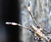 359295 – Photo : Liliane Delattre – France (30)