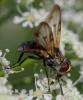 359702 – Photo : ANDRE LABETAA – France (84)