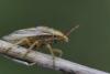 359110 – Photo : Thomas Reverchon – France (21)