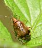 359991 – Photo : Jean-Michel GAREL – France (89)