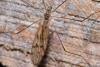 359139 – Photo : Michel Ehrhardt – France (68)