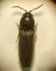 359356 – Photo : Tristan Maury-Caudal – France (44)