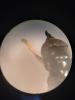 359820 – Photo : Lucien Hueber – France (29)