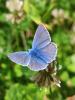 359609 – Photo : zucca maxime – France (26)